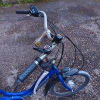 bicicletta elettrica a 3 ruote 