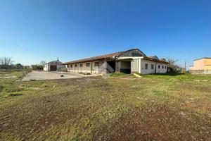 CAPANNONE A SAN DANIELE PO