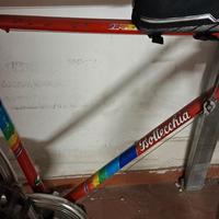 bottecchia