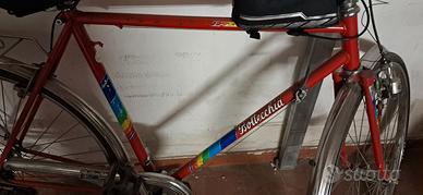 bottecchia