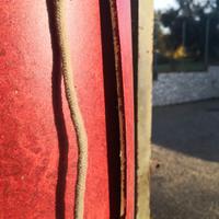 linoleum 