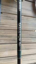 Canna da pesca carbonio Berkley skeletor Pro