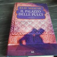 Il palazzo  delle pulci