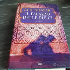 Il palazzo  delle pulci