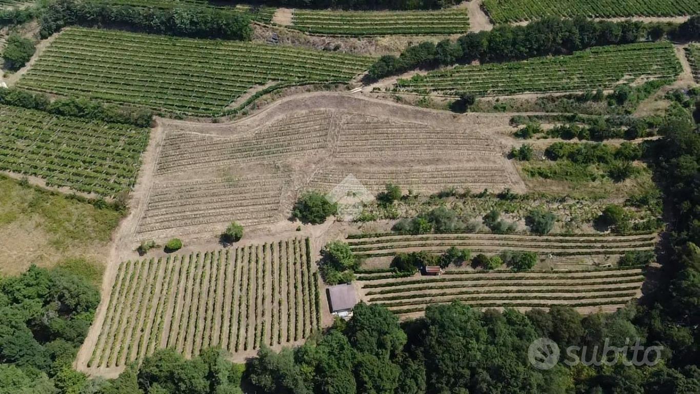 TERRENO A SAN MARTINO BUON ALBERGO - Altro