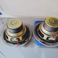 woofer Philips (EASTECH)