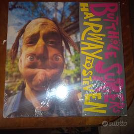 vinile 33 giri BUT...SURFERS