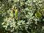 Immagine 6