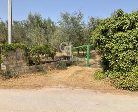 Terreno agricolo - Chiaramonte Gulfi