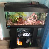 Acquario 100 litri