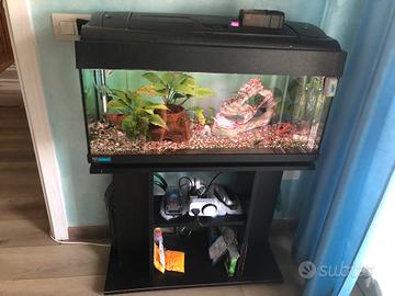 Acquario 100 litri