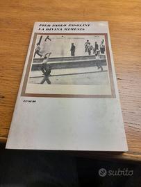 Pasolini  La divina Nimesis