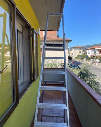 Scala professionale in alluminio