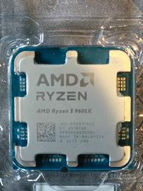 AMD RYZEN 5 9600X