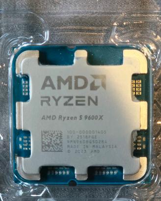 AMD RYZEN 5 9600X