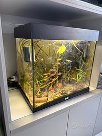 Acquario Juwel Lido 120