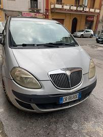 Lancia musa