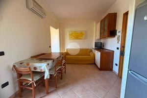 3 LOCALI A SCALEA