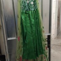 Vestito di Carnevale Elsa versione Primavera