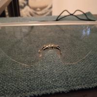 occhiali da sole Richmond vintage  made in italy