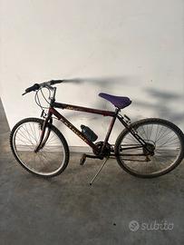 Bicicletta fa uomo