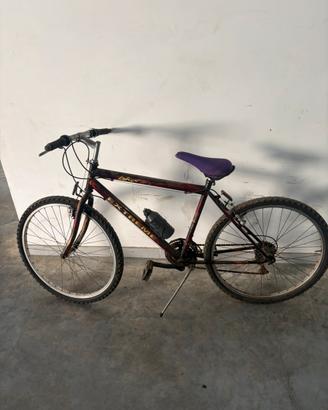 Bicicletta fa uomo