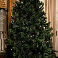 albero di natale