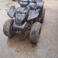 Quad adly 50