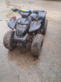 Quad adly 50