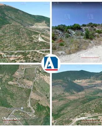 Terreno di 65000 m² a Mompeo