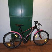 Bicicletta Soecialized