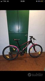 Bicicletta Soecialized