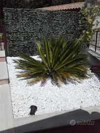 Appartamento indipendente in parco