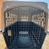 TRASPORTINO AEREO CANE