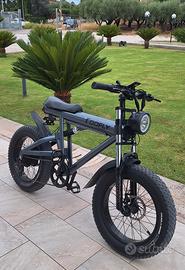 Fat bike elettrica
