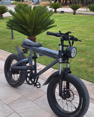 Fat bike elettrica