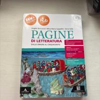 Libro di letteratura