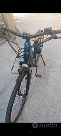 Bicicletta elettrica
