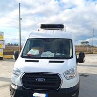 FURGONE FORD TRAN V363 TA Van Trd 130cv