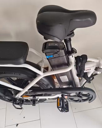 bicicletta elettrica 