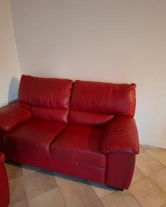 divani pelle n.2