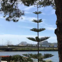 Casa vacanza transitorio