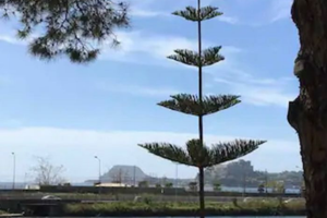 Casa vacanza transitorio