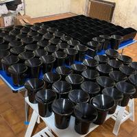 ACCESSORI PER VINO ED EVENTI