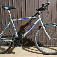 Bici Mtb 26 pollici