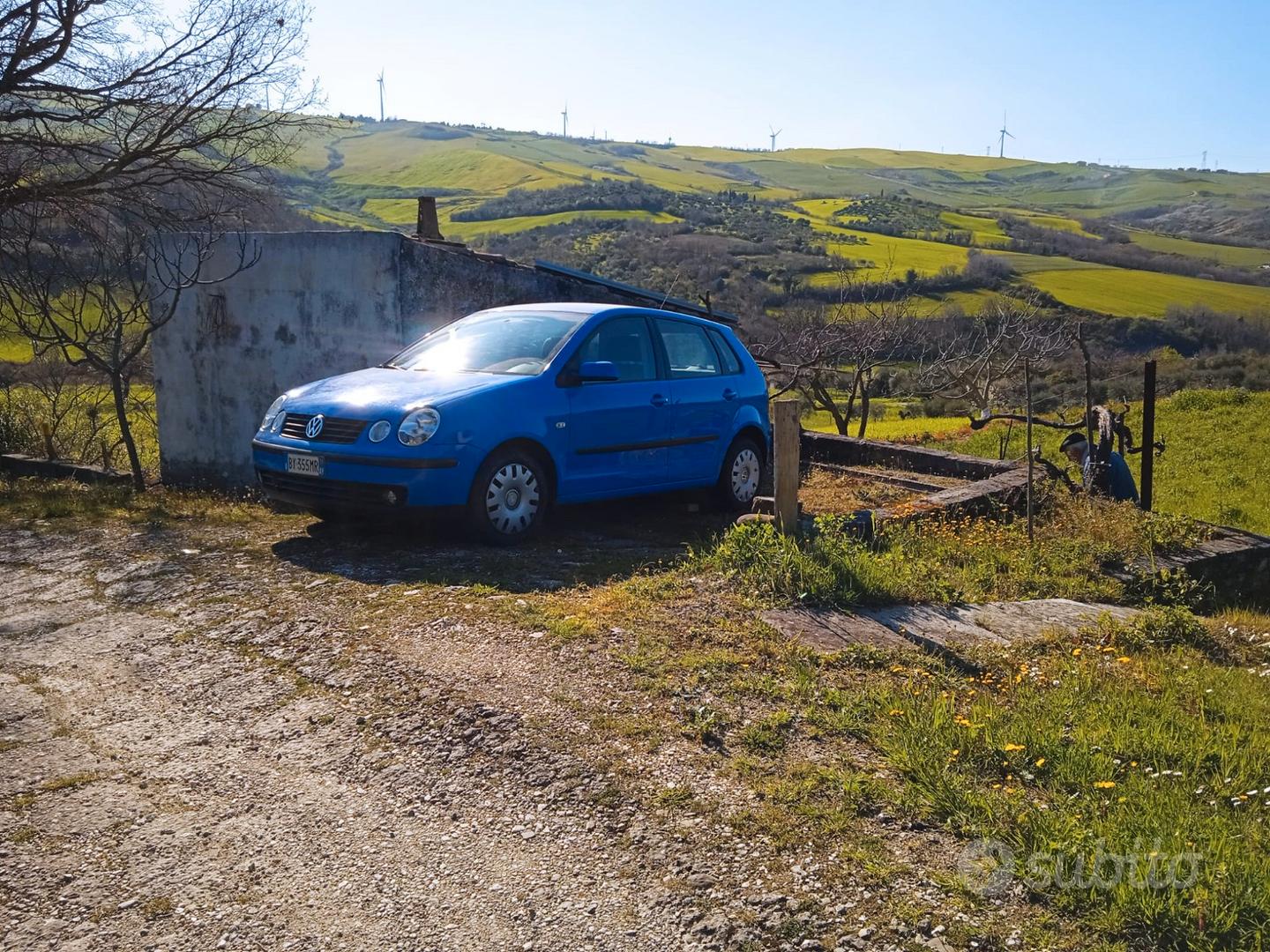 Terreno con piante di olivi - Altro