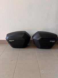 Valige laterali shad sh23 più supporti 3p