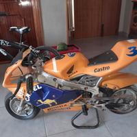 minimoto Camel 50cc