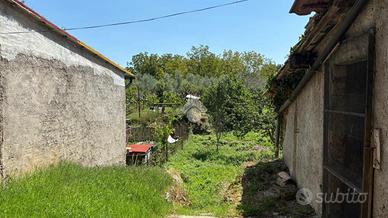 3 LOCALI A ISOLA DEL LIRI