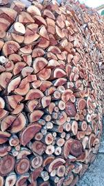 Taglio legna a mezzadria